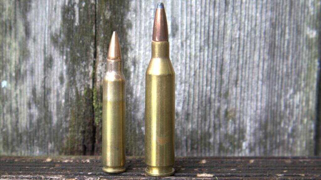 .223 Remington cartridge on the left compared with a .243 Winchester soft point cartridge on the right