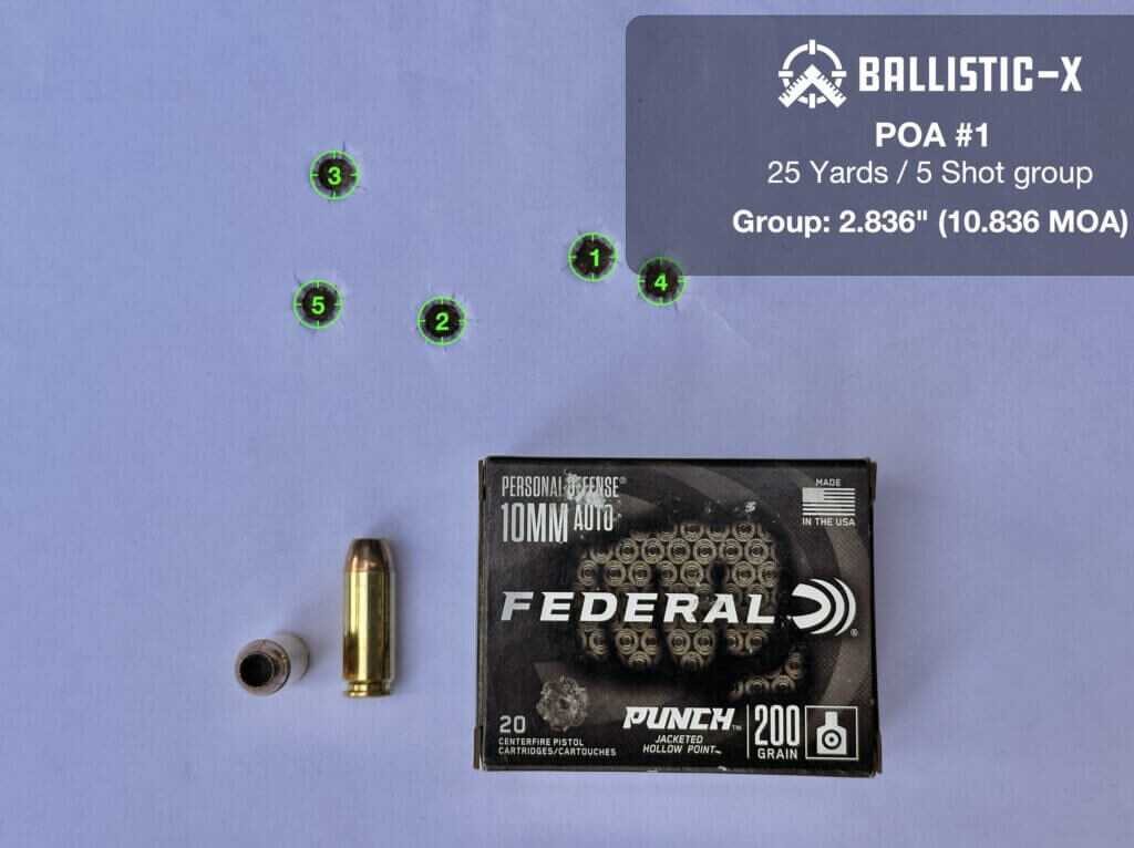 Federal Punch JHP 200 grain 25-yard group from the Chiappa Rhino 60 DS 10mm revolver