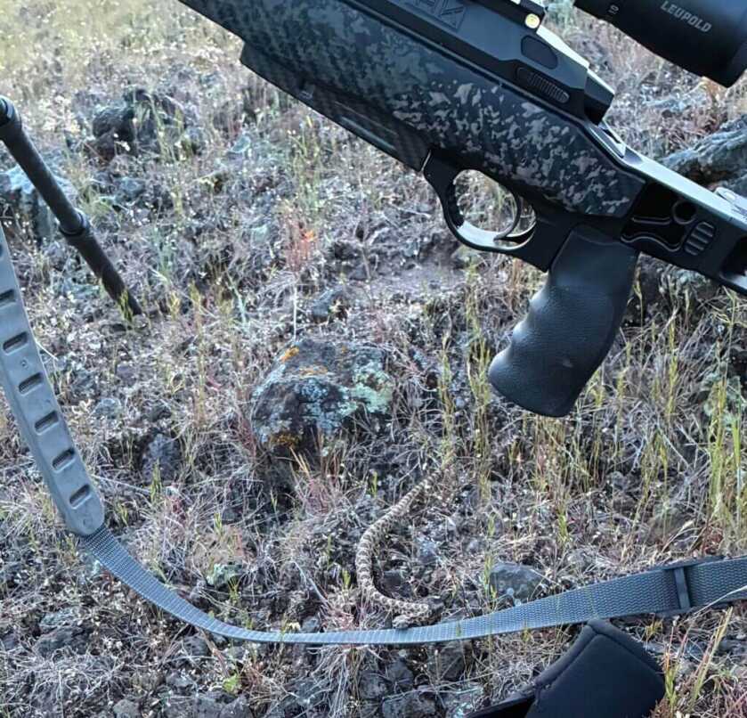 Seekins Element Hunter 7 PRC during backpack bear hunting with rattlesnake on rifle sling