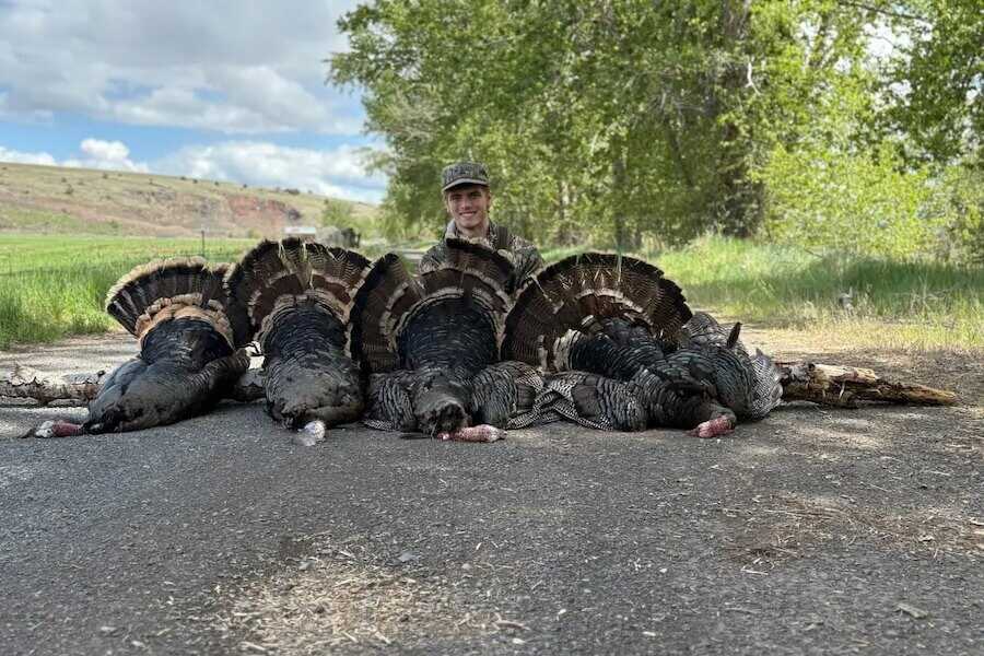 Carter J. Hickey poses behind several illegally taken wild turkeys in an outdoor photo.
