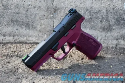 Sig Sauer P322 Optic Ready X-Werks Black...