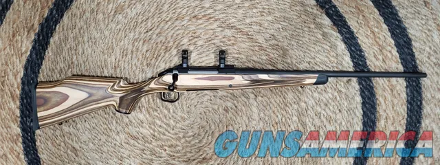 Ruger American Rifle