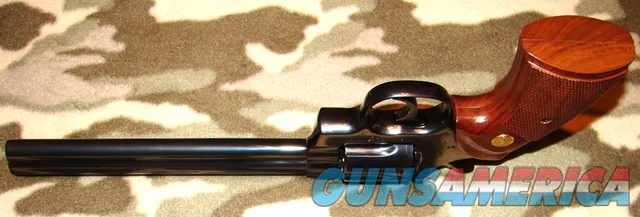 Colt Python Target