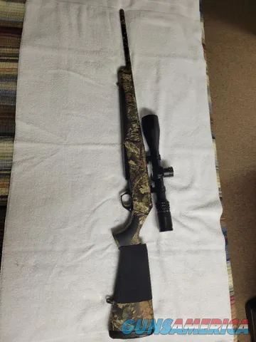 Browning BAR .30-06 Camo w/Burris scope
