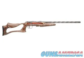Savage Arms 93R17 BSEV .17 HMR Laminate ...