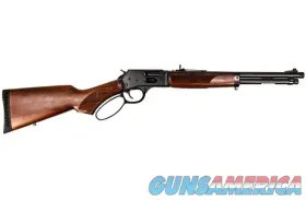 Henry H10 Protector Carbine .45-70 Gover...