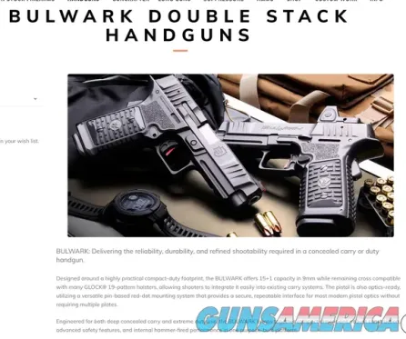 Wilson Combat Bulwark 9mm