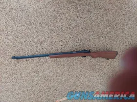 Marlin 81-DL