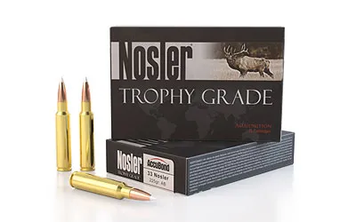 Nosler NOSLER AMMO TGA 33 NOSLER 225 AB-...