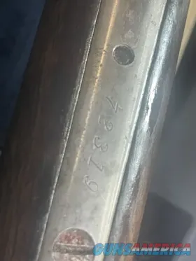 winchester model 1886