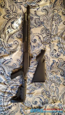 Mossberg 500 Tactical 12ga with Pistol G...