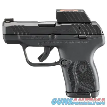 Ruger LCP Max (13758)