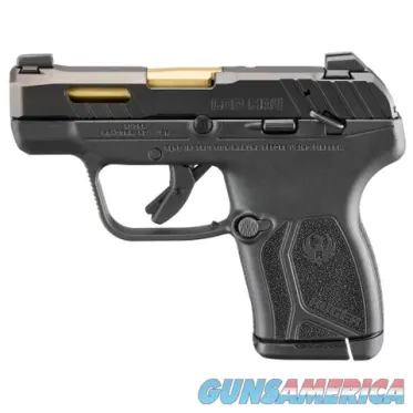 Ruger LCP Max (13766)