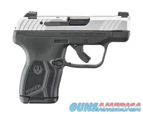 Ruger LCP Max (13749)