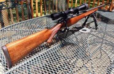 Mauser M12 .308 Winchester– A modern heirloom The Mauser M12 has classically elegant lines. With all the cool black guns at the range, I was surprised that the Mauser was the one getting the attention.