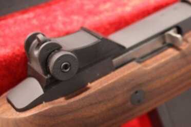 Kingston .22 LR Garand--SHOT Show 2105 The rear sight looks a lot like the original.