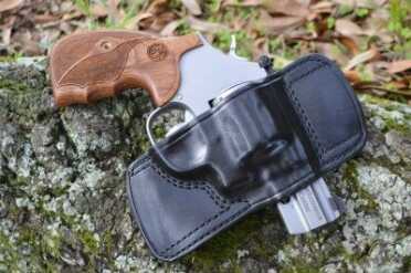 Smith & Wesson Snubby .357 Revolver - Performance Center 686--Review smith 1649