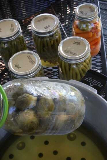 Prepping 101: Rocket Stove Canning On removing the jars, I knew that I had screwed up. But surprisingly only this jar of brussel sprouts failed to seal.