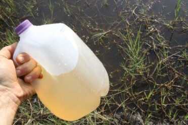 The water that I used for this project came from my pond which was dug earlier this year. It is horribly full of sulfur and undrinkable.