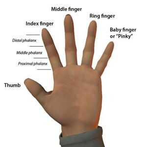 We know how well you know the back of your hand, but how about the front?