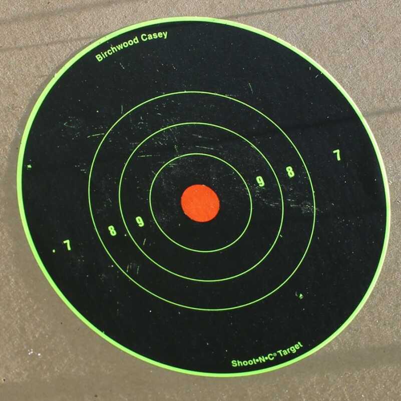 The CCI shotshell from 25 yards. And yes, I was spot on with the accuracy.  