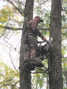 Deer Camp: Four Early Season Deer Stand Tips & Tactics for Success When setting up on a field edge tree near an active trail, place your stand in a spot that is generally downwind and right on the edge, so you don’t spook deer from the area.