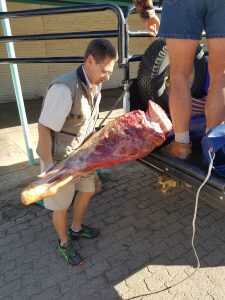 Blood In The Bushveld: A Father And Son On Their First Safari in South Africa The author donated Eland meat from his kill to the local church to help feed the hungry.