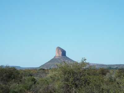 Blood In The Bushveld: A Father And Son On Their First Safari in South Africa The views during the safari were as memorable as the hunt itself for the author and his son.