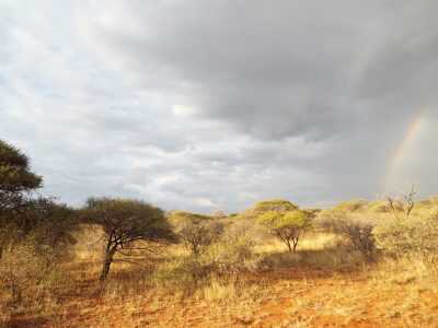Blood In The Bushveld: A Father And Son On Their First Safari in South Africa The author's safari was in the beautiful Limpopo Province in South Africa.