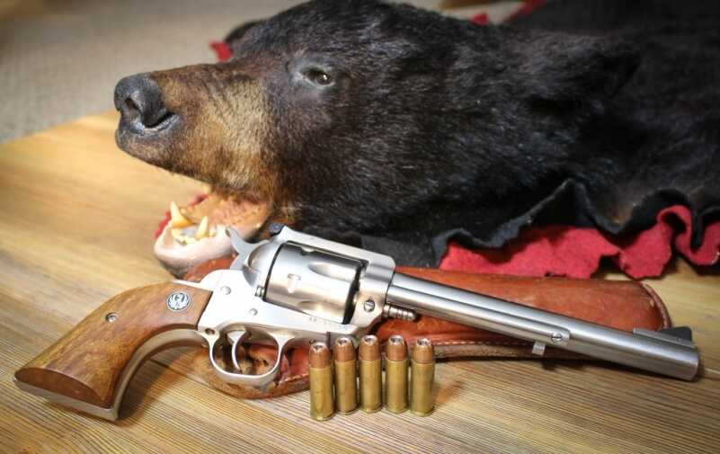When Bears Attack — Top Sidearms to Carry in Bear Country