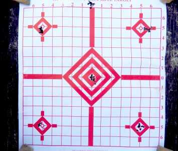Accurize Your Ruger 10/22 — Victor Company Titan Stock
