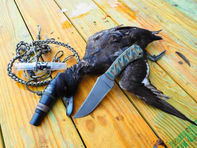 The New Winkler II Belt Knife - Full Review Winkler Knife with Duck