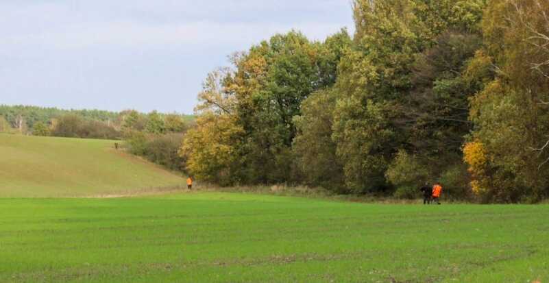 Driving Boars in Poland — Testing Norma's New Strike Line