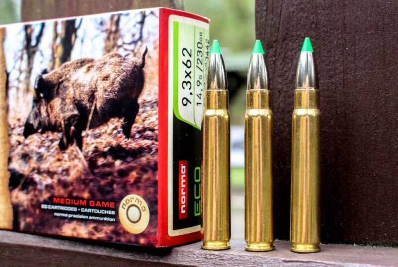 Driving Boars in Poland — Testing Norma's New Strike Line
