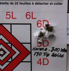 Driving Boars in Poland — Testing Norma's New Strike Line