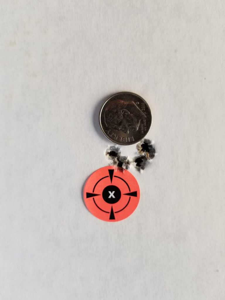 Ruger Precision Rimfire .22 LR: Review