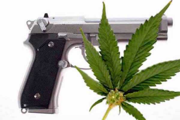 Federal Judge Says Gun Ownership a Right for Cannabis Users Weed and a Pistol.