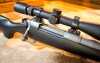 The Legendary Arms Works Professional II: Hunting Rifle