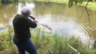 Texas Mayor and Great-Grandmother Kills 12-Foot Gator Texas Mayor and Great-Grandmother Kills 12-Foot Gator