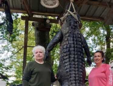 Texas Mayor and Great-Grandmother Kills 12-Foot Gator Texas Mayor and Great-Grandmother Kills 12-Foot Gator