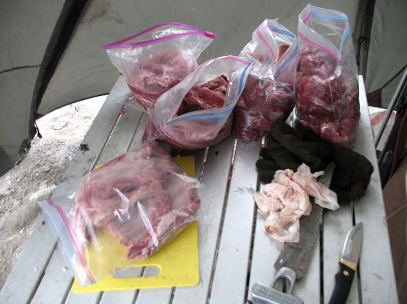Meat Care and Transportation Tips