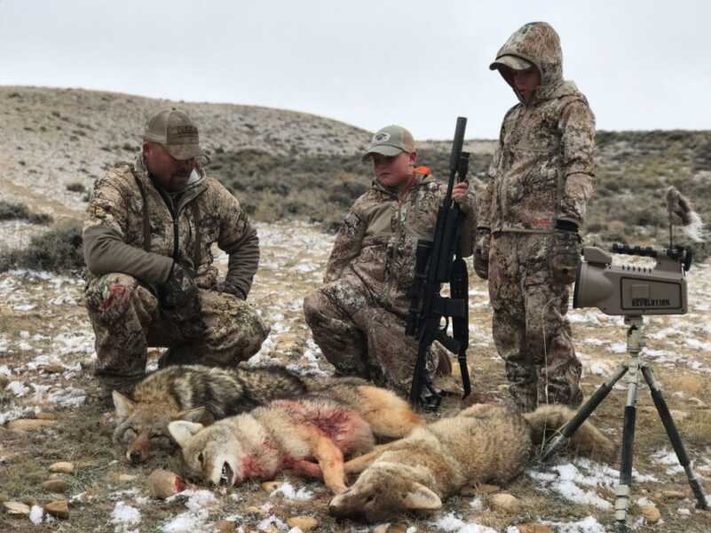 October Coyotes – Don’t Miss Out on Primetime Conditions! October Coyotes – Don’t Miss Out on Primetime Conditions!