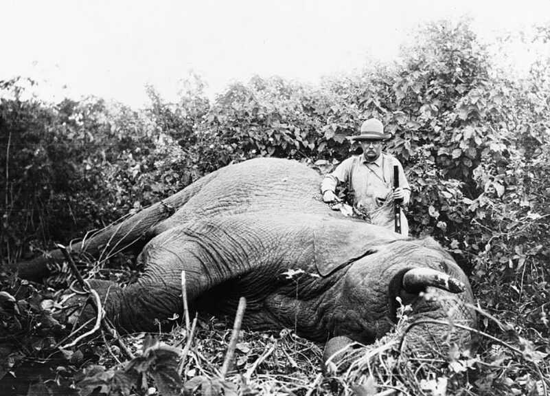 The Manliest American Who Ever Lived and the Gun That Didn't Stop Him