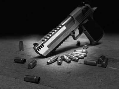 What's Better than .44 Magnum? 429 Desert Eagle by Magnum Research