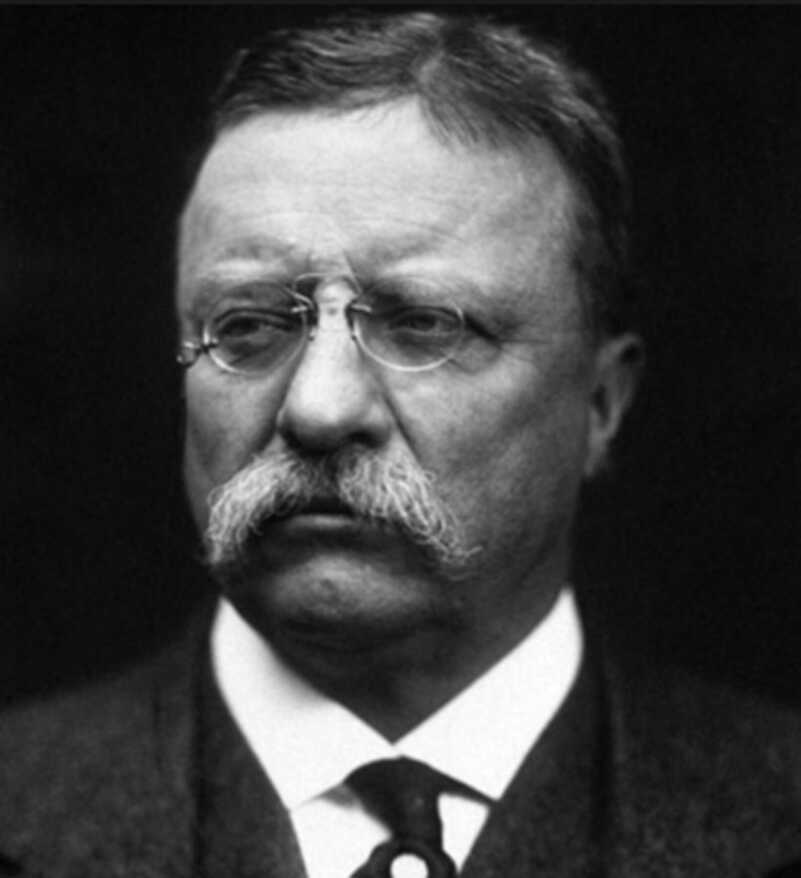 The Assassination of William McKinley: Of Hopeless Causes and One Seriously Pathetic Pistol The Assassination of William McKinley: Of Hopeless Causes and One Seriously Pathetic Pistol