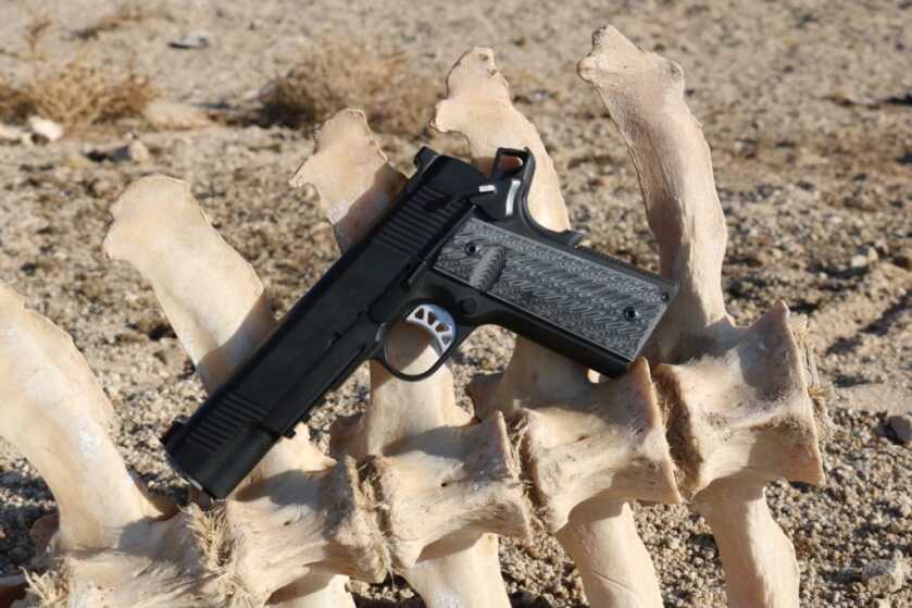 Federal Appeals Court: Gov’t Can’t Ban Adults Under 21 from Buying Handguns Federal Appeals Court: Gov’t Can’t Ban Adults Under 21 from Buying Handguns