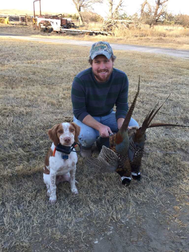 Late Season Ringnecks Late Season Ringnecks