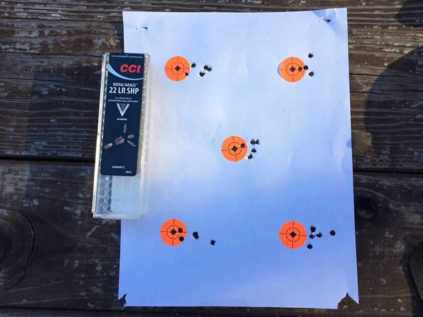 Head-to-Head: NEW Ruger Competition 10/22 vs. Custom 10/22 Build