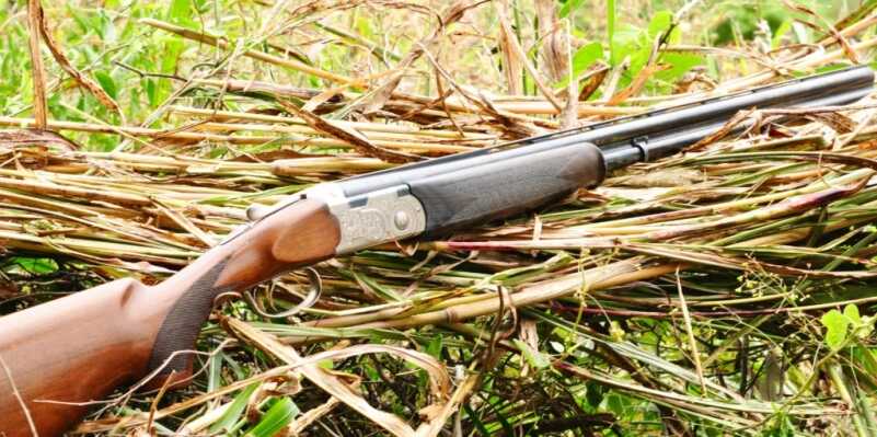 Dove for a Lifetime: Argentina Bucket List Hunt