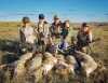 Springtime Coyote Strategies